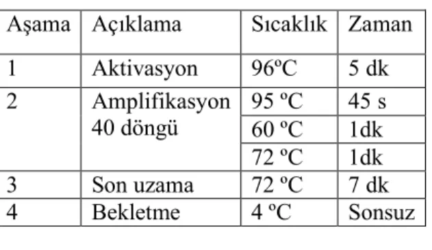 Çizelge 3.9.  Big dye PCR’ın koşulları. 