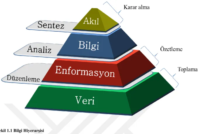 Şekil 1.1 Bilgi Hiyerarşisi  