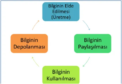 Şekil 1.3 Bilgi Yönetim Süreci Evreleri 