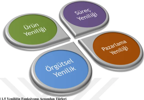 Şekil 1.5 Yeniliğin Fonksiyonu Açısından Türleri 