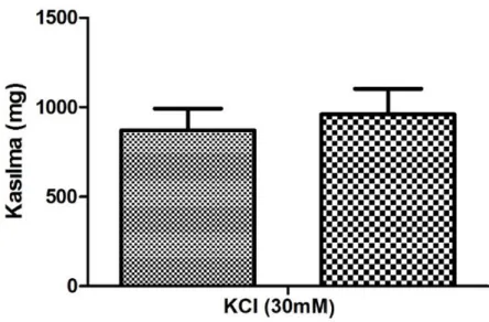 Şekil 4.11. 30 mM KCI ile kasılma yanıtları 