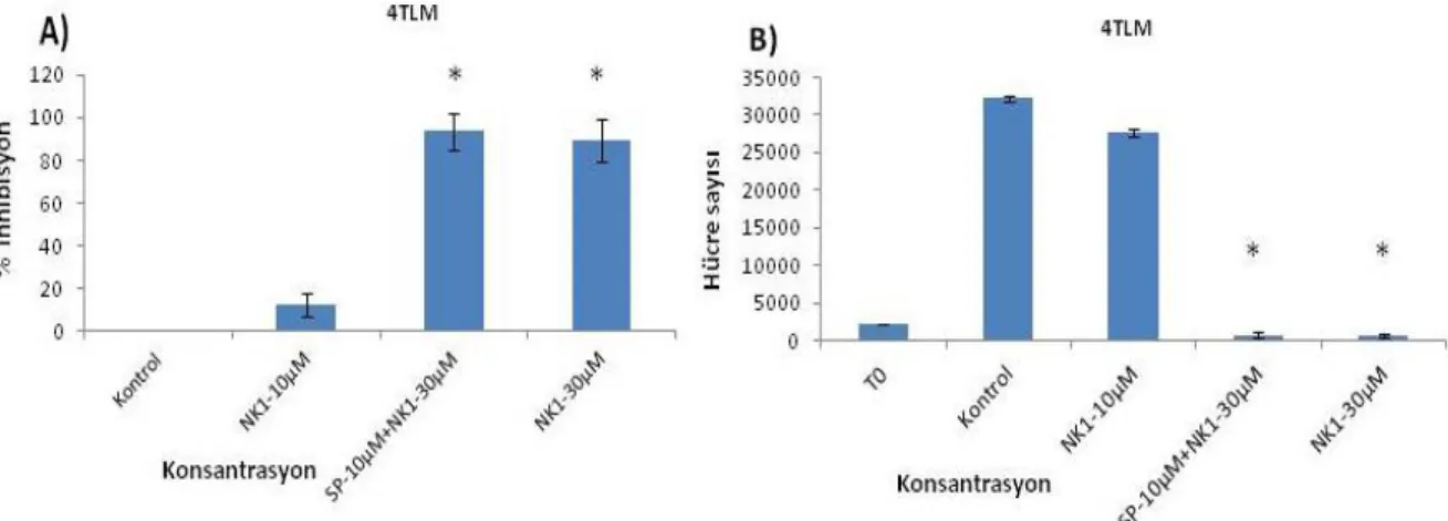 Şekil 19.  4TLM  hücrelerinde  farklı  dozlarda  NK1R  antagonistinin  (RP6780:  RP-)  ve  Substans  P  (SP) kombine uygulamasının  hücre proliferasyonuna etkisini gösteren grafikler;  RP- 10  µM  ve  30  µM  A)  Kontrole  göre  istatistiksel  olarak  karş