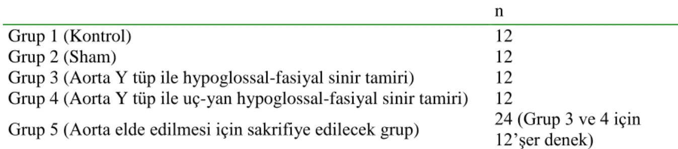 Tablo 3.1.Deney grupları