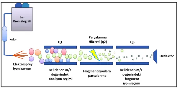 Şekil 2.4: Çoklu Reaksiyon İzleme (MRM) 