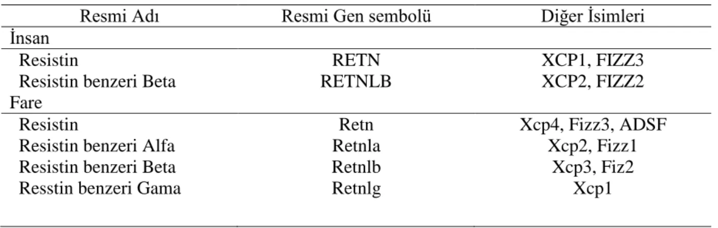 Tablo 2.1. Resistin benzeri moleküller gen ailesi üyelerinin terminolojisi [11]. 