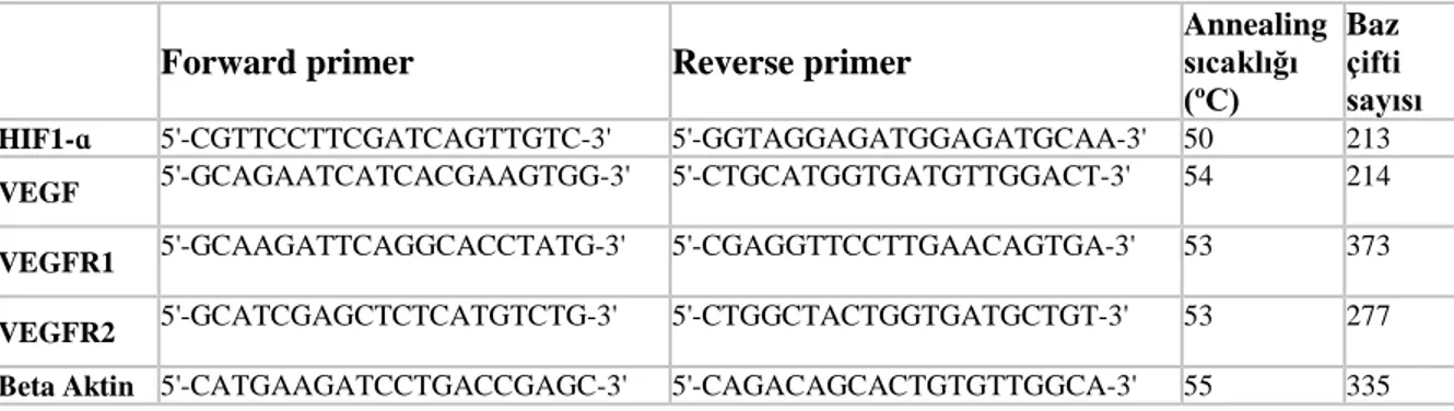 Tablo 3.10. 1. qRT-PCR için kullanılan oligonükleotid sekansları 