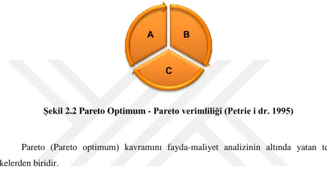 Şekil 2.2 Pareto Optimum - Pareto verimliliği (Petrie i dr. 1995) 