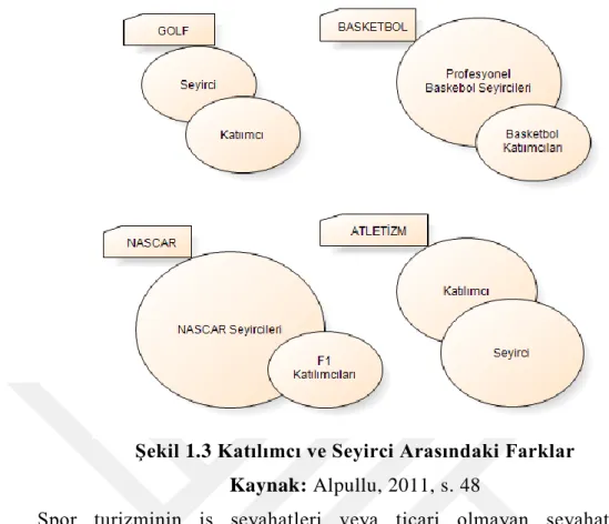 Şekil 1.3 Katılımcı ve Seyirci Arasındaki Farklar  Kaynak: Alpullu, 2011, s. 48 