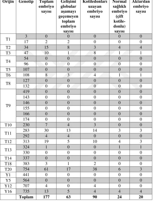 Çizelge  4.6.  Durağan  kültür  ortamında  mikrospor  embriyogenesis  performansları  test  edilen 29 genotipten elde edilen toplam embriyo,  gelişimi globular aşamayı  geçemeyen toplam embriyo, kotiledonları uzayan embriyo, çift kotiledona  sahip normal s