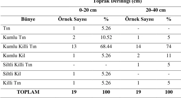 Çizelge 4.3.  Antalya ili Manavgat  yöresi  toprak örneklerinin  bünye  sınıflarına  göre  sınıflandırılması 