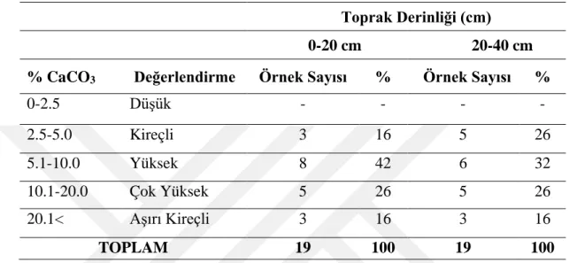 Çizelge  4.4.  Antalya ili Manavgat yöresi toprak örneklerinin CaCO 3   değerlerine  göre  sınıflandırılması 