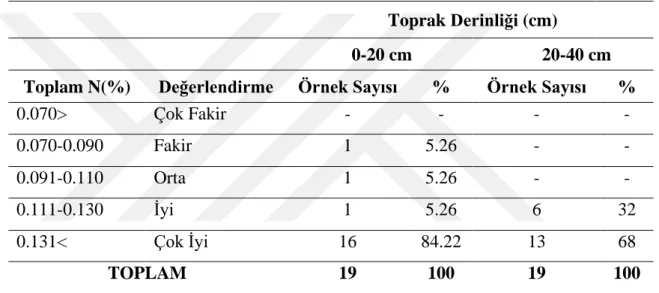 Çizelge 4.7.  Antalya ili Manavgat yöresi sera toprak örneklerinin toplam azot  (%)  içeriklerine göre sınıflandırılması 