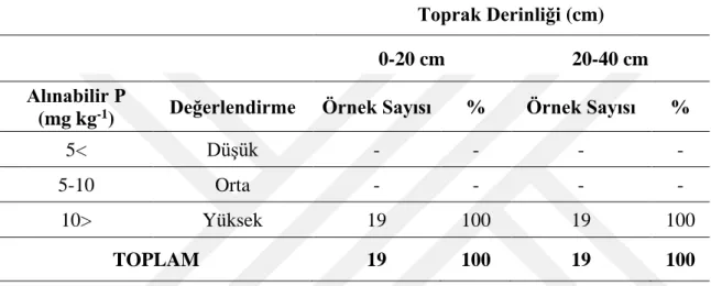Çizelge 4.8.  Antalya ili Manavgat  yöresi  sera  toprak  örneklerinin  alınabilir  fosfor                                     kapsamlarına göre sınıflandırılması 