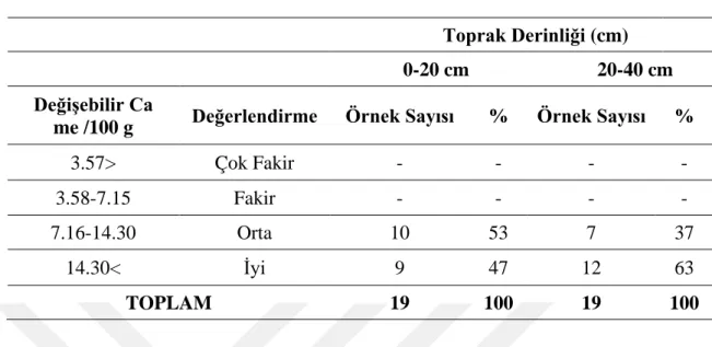 Çizelge 4.10. Antalya ili Manavgat yöresi sera toprak örneklerinin değişebilir kalsiyum  içeriklerine göre sınıflandırılması 