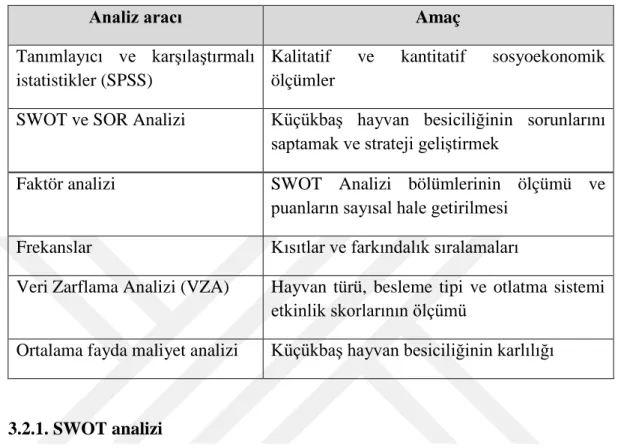 Çizelge 3.2.  Özet Analiz Araçları ve Amaçları 