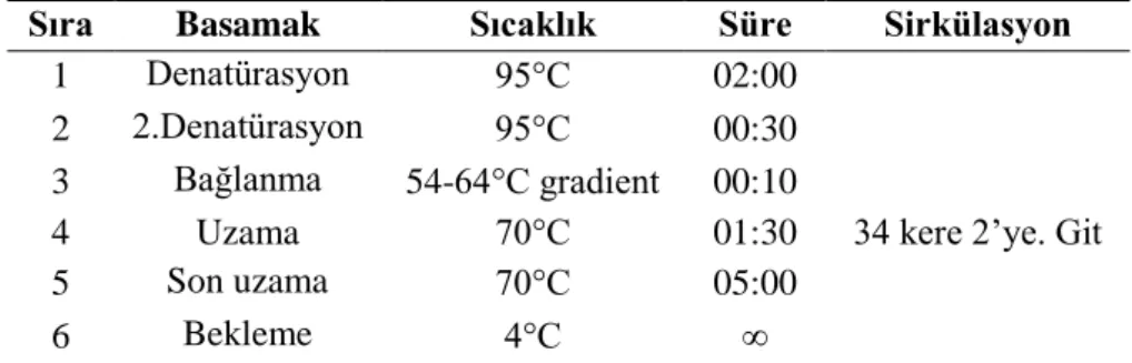 Çizelge 3.2. PZR ısı döngü programında uygulanan sıcaklık ve süre koşulları 