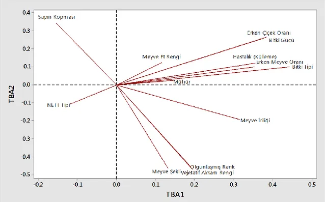 Şekil 4.1. Temel Bileşenler Analizi sonucunda TBA1 ve TBA2’nin temsil ettiği  özelliklerin dağılımı 