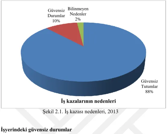 Şekil 2.1. İş kazası nedenleri, 2013 