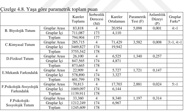 Çizelge 4.8. Yaşa göre parametrik toplam puan 
