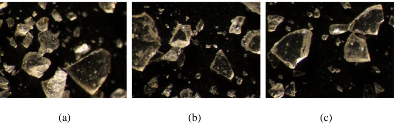 Şekil 4.1. Ultrasonikasyon uygulanmayan ve 80°C sıcaklıkta, 6.1 (a), 5.5 (b) ve 4.5 (c)  pH  değerinde  1/5  un/su  oranı  kullanılarak  üretilen  örneklerin  mikroskobik  görüntüsü 