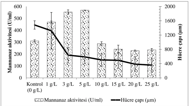 Şekil 4.5. Magnezyum silikat ve kontrol erlenmayer fermentasyonlarına ait β-mannanaz  aktivitelerinin ve hücre çaplarının karşılaştırılması 