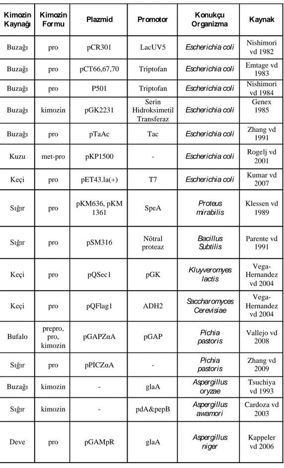 Çizelge  2.1.  Günümüze  kadar  rekombinant  kimozin  için  kullanılan  kaynaklar,  plazmitler, promotorlar ve konakçılar (Kumar vd 2010) 