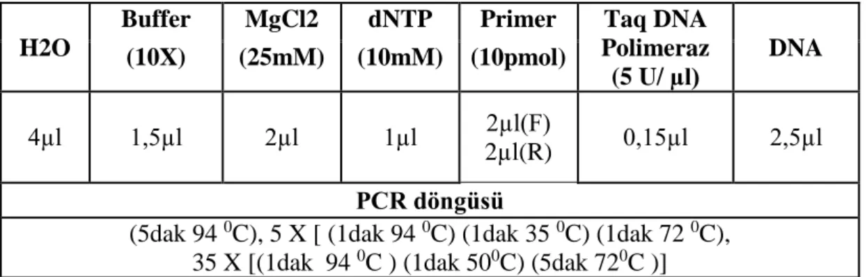 Çizelge  3.6.  SRAP-SCAC568  kombinasyonları  için  PCR  tepkime  karışımında  kullanılan miktarlar ve PCR döngüsü 