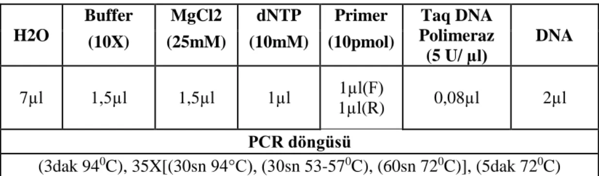 Çizelge 3.8. SSR için PCR tepkime karışımında kullanılan miktarlar ve PCR döngüsü 