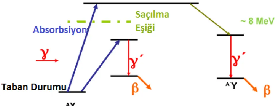 Şekil 1.1. Gama ve kararlı çekirdeğin etkileşim şeması 