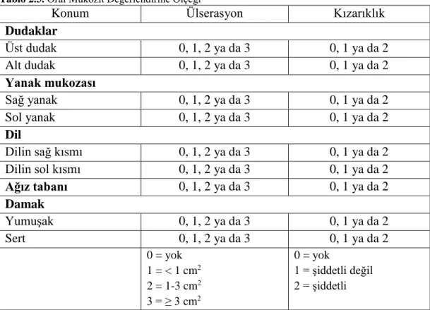 Tablo 2.5. Oral Mukozit Değerlendirme Ölçeği 