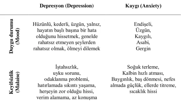 Tablo 2.2 Depresyon ve Anksiyete Belirtileri, Duygu Durumu ve Keyifsizlik Ayrımı  Örnekleri 