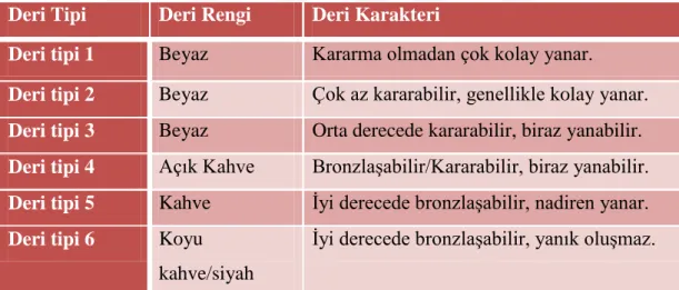 Şekil  2.2.2.:  Fitzpatrick  Deri  Tipi  Sınıflaması,  http://www.skincancer.org/prevention/are-you-at- http://www.skincancer.org/prevention/are-you-at-risk/fitzpatrick-skin-quiz#panel1-1, Erişim Tarihi 13.04.2016  