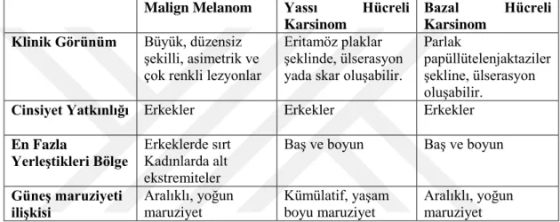 Şekil 2.3.2.: Malign melanom, yassı ve bazal hücreli karsinomların özellikleri, (Morganroth PA, Lim  HW,  Burnett  CT