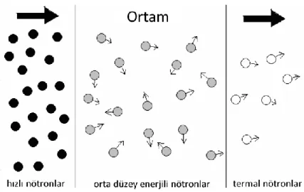 Şekil 2.10: Nötron taşınımı modeli  12