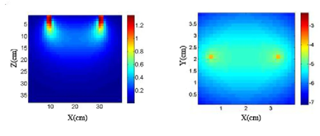 Şekil 9: Monte Carlo simülasyonu ile oluşturulan kaynak detektör arsındaki foton yörüngelerinin  dağılımı a ) Bir kaynak detektör çiftinin yandan görünümü, b) kaynak detektörün üsten görünümü 