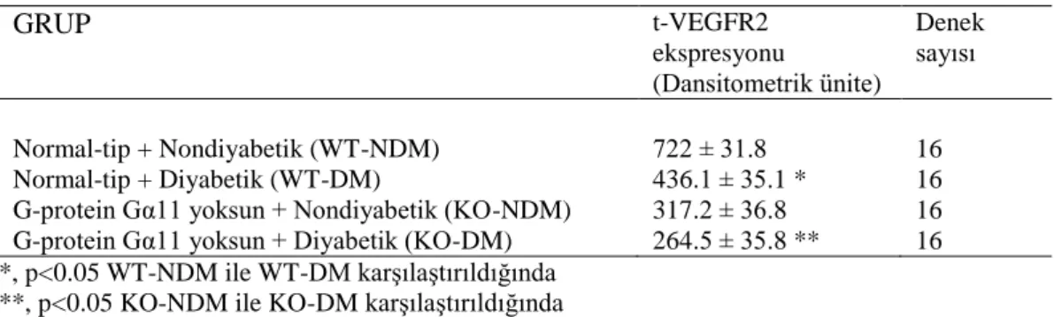 Tablo 4. 3. Kroner damarlarda  t-VEGFR2’nin ekspresyonu 