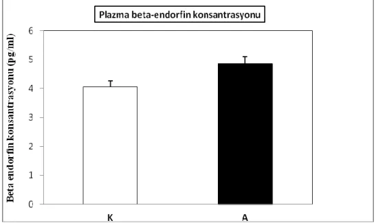 Grafik 5: Kontrol ve Antrene grubu plazma beta endorfin konsantrasyonu (pg/ml) 