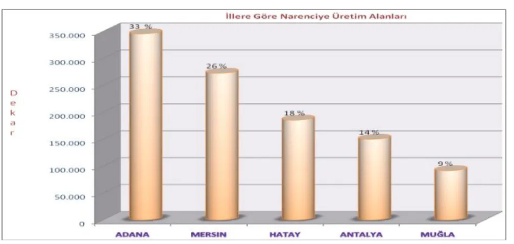 Şekil 1.2. Türkiye’de illere göre narenciye üretim alanları (dekar) 
