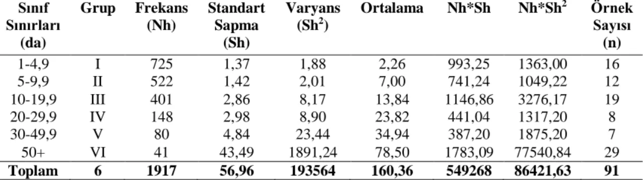 Çizelge 3.2. Örnek işletmelerin portakal dikili alan genişlik gruplarına göre dağılımı 