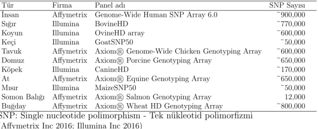 Çizelge 1.1. Bazı türler için mevcut SNP panelleri