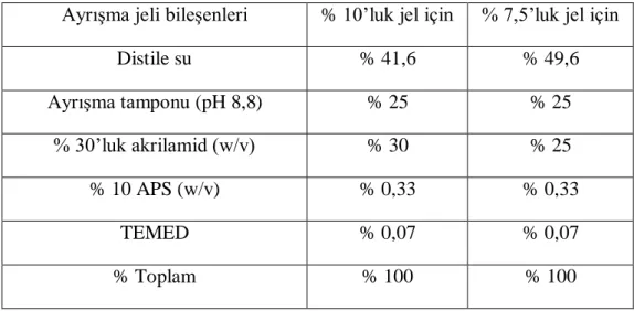 Tablo 3.1. Ayrışma jeli için kulanılan bileşenler ve oranları. 