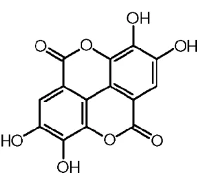 Şekil 2.1. Ellagik asidin moleküler yapısı .  Ellagik asit laktonik bir bileşik olup 4 hidroksil grubu     içermektedir