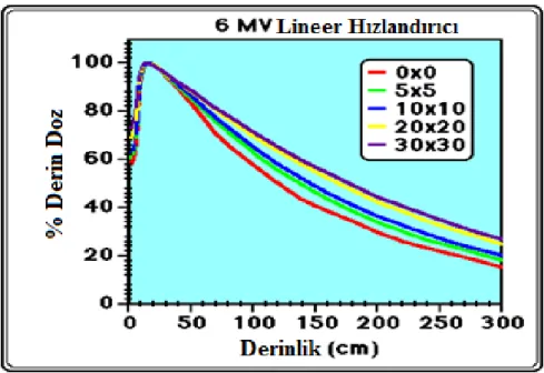 Şekil  2.6.  6MV  foton  enerjisi  için  %DD’un  derinlik  ve  alan  boyutuna  bağlı  değişimi                  (Colorado Devlet Üniversitesi Mevatron Lineer Hızlandırıcı Cihazı)  