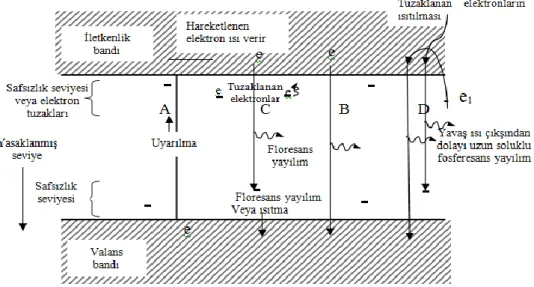 Şekil 2.20. Fosforesans ve limünesans maddelerde uyarılma enerji seviyeleri   Termolüminesans Dozimetre (TLD) Okuma Sistemi: 