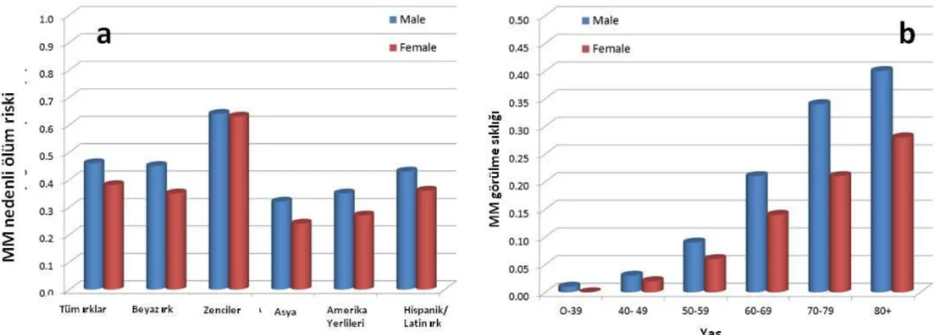 ġekil  2.1.  MM  nedenli  ölüm  riskinin  cinsiyet  ve  ırka  göre  dağılımı  (a)  ve  M  görülme  sıklığının  cinsiyet  ve  yaĢa  göre  dağılımı