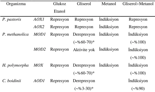 Çizelge  2.2’de  metilotrofik  mayalardaki  AOX  ekspresyonu  üzerinde  farklı  karbon  kaynaklarının etkisi liste olarak verilmiştir