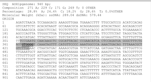 Şekil 2.9. P. pastoris AOX1 promotoru gen dizisi (İnan 2000). C parçası gri arkaplanla,  Mig1 proteininin olası bağlanma yeri altı çizili ve koyu olarak belirtilmiştir