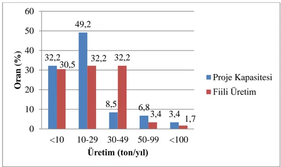 Şekil 4.1. İşletmelerinin proje kapasiteleri ile fiili üretim durumları  Çizelge 4.2. İşletmelerin proje kapasitelerine göre fiili üretim durumları    