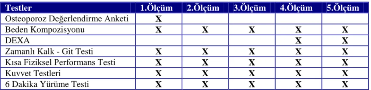 Çizelge 3.1.Testlerin uygulanma  programı 