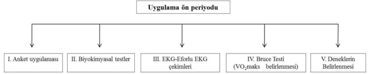 Şekil 3.1. Uygulama ön periyodu 